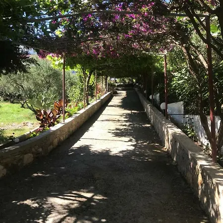 Lejlighedshotel Knossos